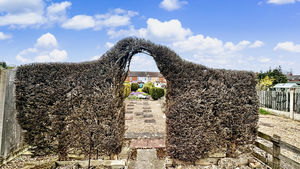 Photo 15- click for photo gallery